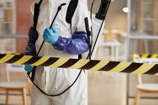 Professional Sewage Cleanup technician working in Boynton Beach, FL
